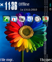 Скриншот темы Colorful Flower 01