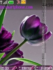 Purple flower es el tema de pantalla