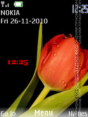 Orange flower tema screenshot