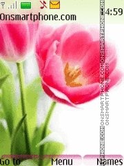 Capture d'écran 2 tulip lara thème
