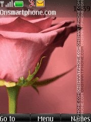 Pink rose 2 tema screenshot
