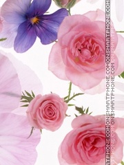 Roses 2 tema screenshot