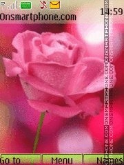 Скриншот темы Pink rose 3