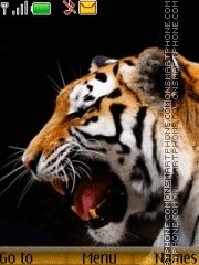 Скриншот темы Tiger 35