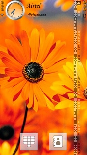 Orange Flowers 03 tema screenshot