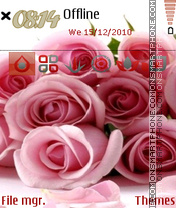 Pink Roses 02 tema screenshot