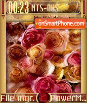 Roses 01 tema screenshot