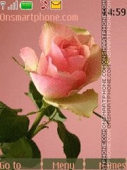 Pink Rose tema screenshot