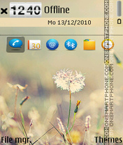 Dandelion-v3 tema screenshot