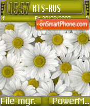 Flowers from Debtor es el tema de pantalla