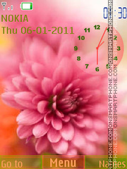 Pink chrysanthemum Theme-Screenshot