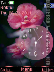 Poppies and Clock theme screenshot