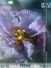 FLower in the morning tema screenshot