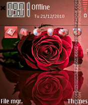 Red Rose 04 tema screenshot