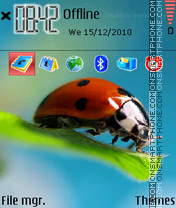 Скриншот темы Lady Bug 05