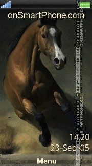 Horse 05 tema screenshot
