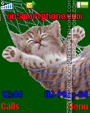 Gatinhos theme screenshot