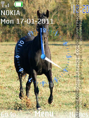 Horses tema screenshot