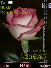 Скриншот темы Pink rose