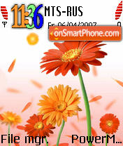 Daisy Flower theme screenshot