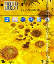 Sunflowers 01 tema screenshot