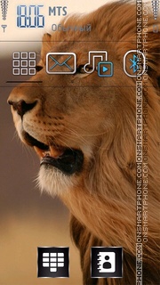 Lion 25 theme screenshot