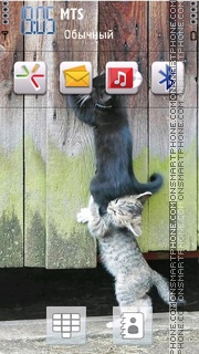 Funny Cats 01 Theme-Screenshot