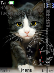 Black Cat & Clock tema screenshot