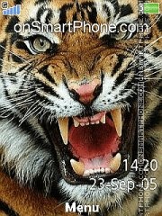 Скриншот темы Tiger 36