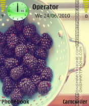 Capture d'écran Bilberries thème