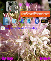 Capture d'écran N73 Style 01 thème