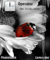 Camomile and Ladybug tema screenshot