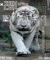 White Tiger 10 tema screenshot