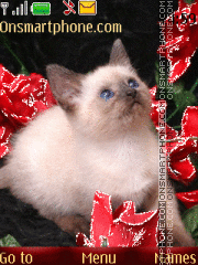 Kitten and roses theme screenshot