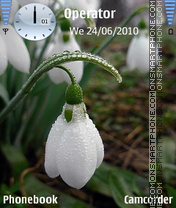 Spring3 es el tema de pantalla