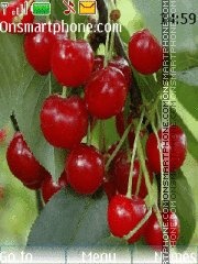 Скриншот темы Red small fruit