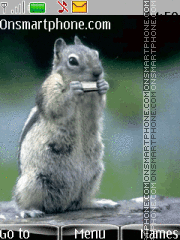 Скриншот темы Squirrel