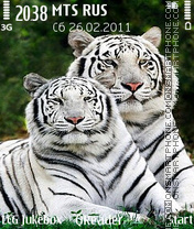 White-Tigers tema screenshot