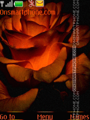 Velvet rose tema screenshot