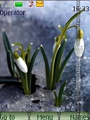 Snowdrops tema screenshot