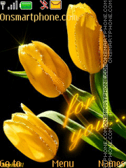 Tulips for u theme screenshot