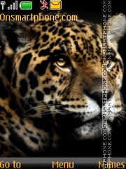 Capture d'écran leopard thème