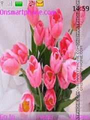 Скриншот темы Pink tulips