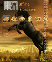 Horse 07 tema screenshot