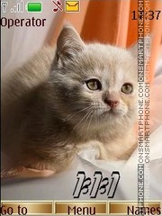 Скриншот темы Kittens 24 pict swf