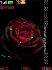 roses swf es el tema de pantalla