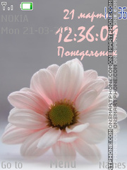 Camomile theme screenshot