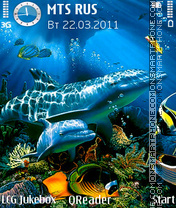 Dolphins tema screenshot