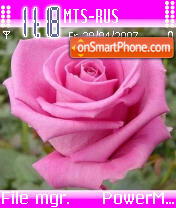 Rose tema screenshot