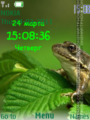 Frog SWF theme screenshot